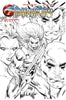 THUNDERCATS #1 CVR ZG INCV LIEFELD B&W