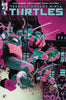 TEENAGE MUTANT NINJA TURTLES 2024 #1 SCALERA INCV