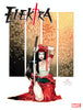 ELEKTRA #100 RUAN VAR