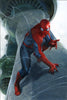 AMAZING SPIDER-MAN #800 LEG SC DELLOTTO VIRGIN EXCLUSIVE