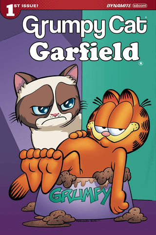 GRUMPY CAT GARFIELD #1 (OF 3) CVR C RUIZ