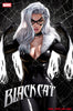 BLACK CAT #7 IVAN TALAVERA VARIANT