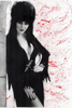 GUI CHAVES ART BOOK NYCC ELVIRA EXCLUSIVE