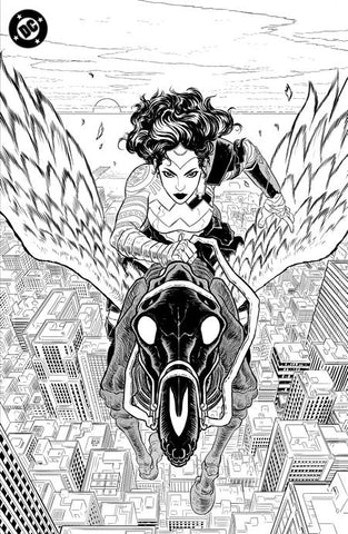 ABSOLUTE WONDER WOMAN NOIR EDITION #1 (CVR C HAYDEN SHERMAN FOIL VAR