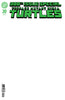 Teenage Mutant Ninja Turtles #20: 300th Issue Special: G Foil Stamped (Sketch Variant)