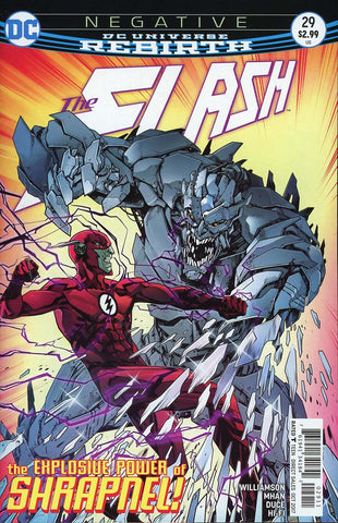 FLASH #29