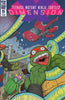 TMNT DIMENSION X #5 CVR A PITARRA