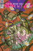 TMNT DIMENSION X #5 CVR B ROUSSEAU