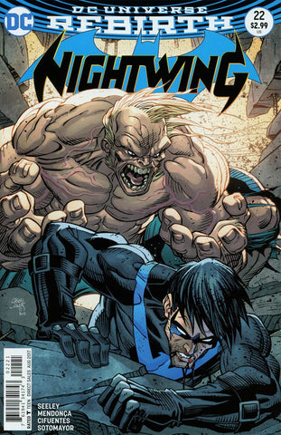 NIGHTWING #22 VAR ED