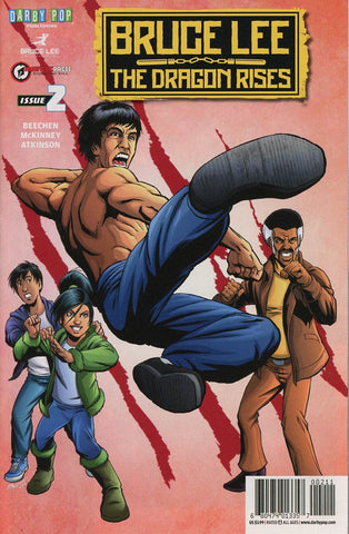 BRUCE LEE DRAGON RISES #2 COVER A BRANDON McKINNEY