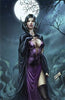 Grimm Fairy Tales Presents Tales From Oz #6 Cover C