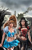 Grimm Fairy Tales Presents Cinderella #1 Cover C