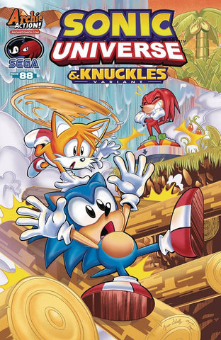 SONIC UNIVERSE #88 COVER B SKELLY VARIANT