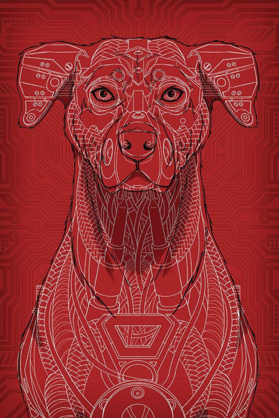 RED DOG #1 COVER B VELEZ