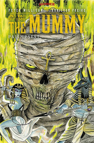 THE MUMMY (HAMMER) #3 OF 5 COVER C HITCHCOCK VARIANT