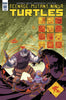 TMNT #68 ONGOING TEENAGE MUTANT NINJA TURTLES MAIN