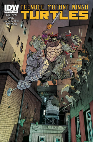 Teenage Mutant Ninja Turtles Vol 5 #39 Cover A