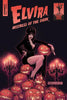 ELVIRA MISTRESS OF DARK SPRING SPECIAL ONE SHOT