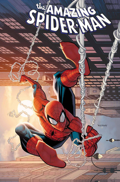 AMAZING SPIDER-MAN #29