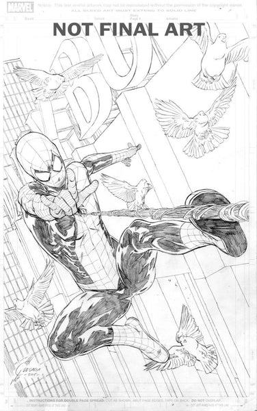 AMAZING SPIDER-MAN #24 QUESADA SKETCH VAR