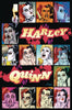 HARLEY QUINN A ROGUES GALLERY THE DLX COVER ART COLL HC