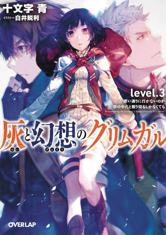 GRIMGAR OF FANTASY & ASH LIGHT NOVEL VOL 03 (C: 0-1-0)