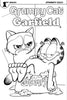 GRUMPY CAT GARFIELD #1 (OF 3) CVR E COLORING BOOK