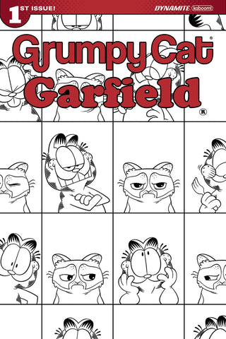 GRUMPY CAT GARFIELD #1 (OF 3) CVR G 10 COPY HIRSCH INCV