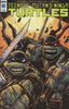 TMNT ONGOING #60 SUBSCRIPTION VAR