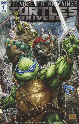 TMNT UNIVERSE #1 TEENAGE MUTANT NINJA TURTLES COVER A 1st PRINT