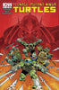 TMNT ONGOING #50 REG CVR C