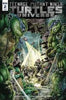 TMNT UNIVERSE #2 TEENAGE MUTANT NINJA TURTLES COVER A 1st PRINT