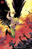 HAWKMAN #5 VAR